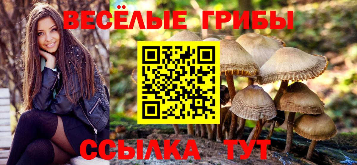 Галлюциногенные грибы мицелий Великий Новгород